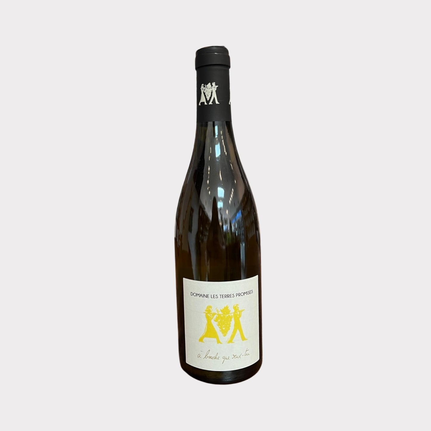 2018 Domaine les Terres Promises A Bouche que Veux-Tu White